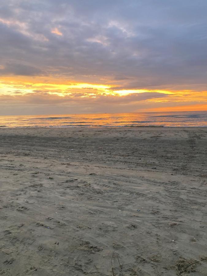 Zeehalm - 20M From The Beach Apartment De Panne Bagian luar foto